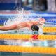 Les Championnats de France de natation 2024 en direct sur beIN SPORTS